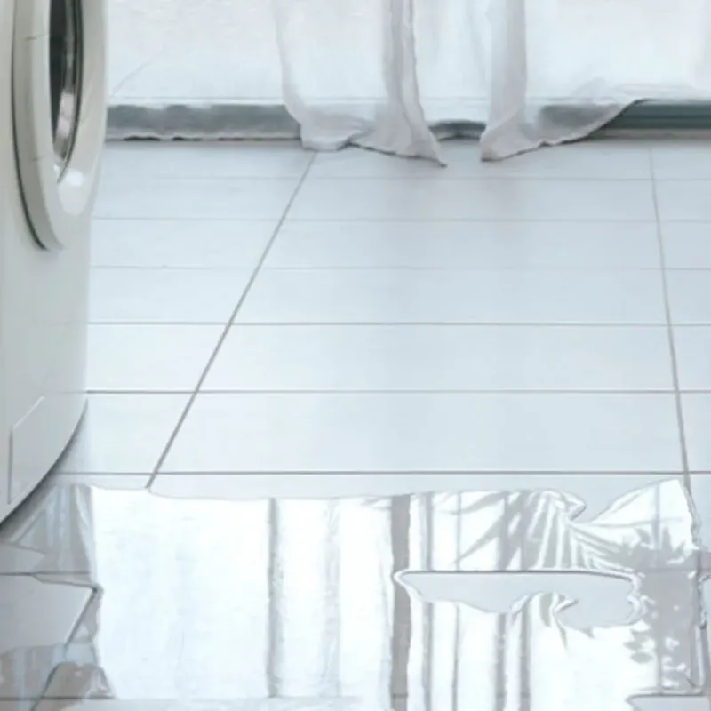 Appliance Leak Cleanup in Mahtomedi, MN