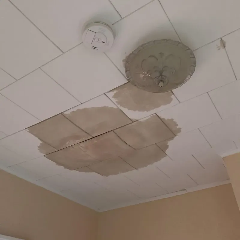 Ceiling Water Damage Repair in Mahtomedi, MN