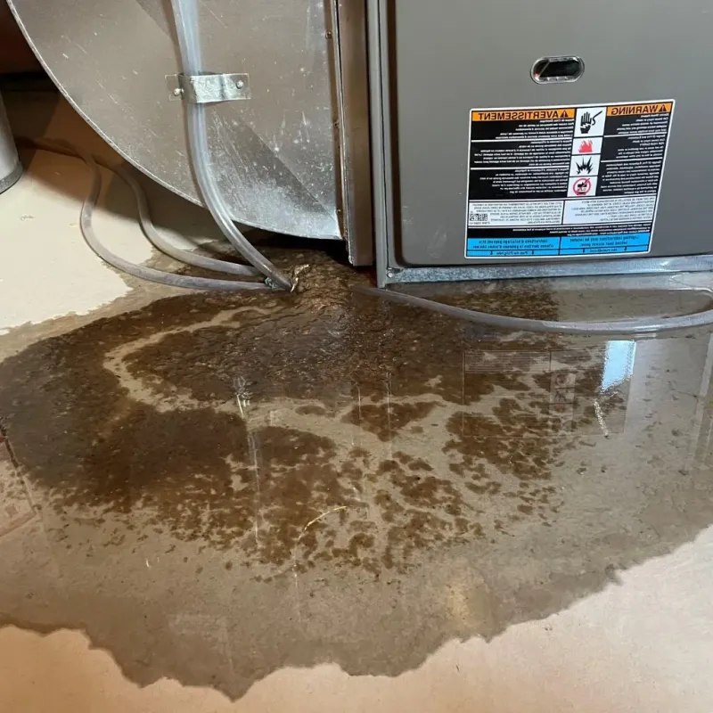 Pipe Burst and Leak Restoration in Mahtomedi, MN